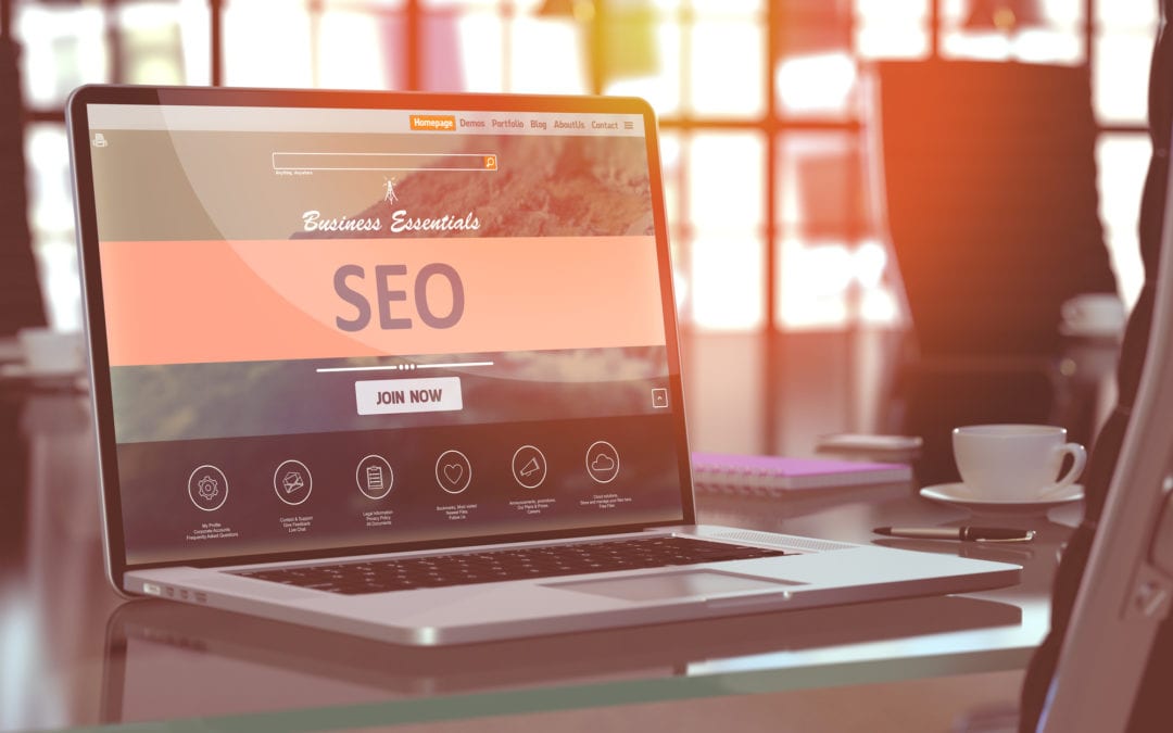 seo specialist